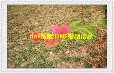 dnf婚姻 DNF婚姻信息